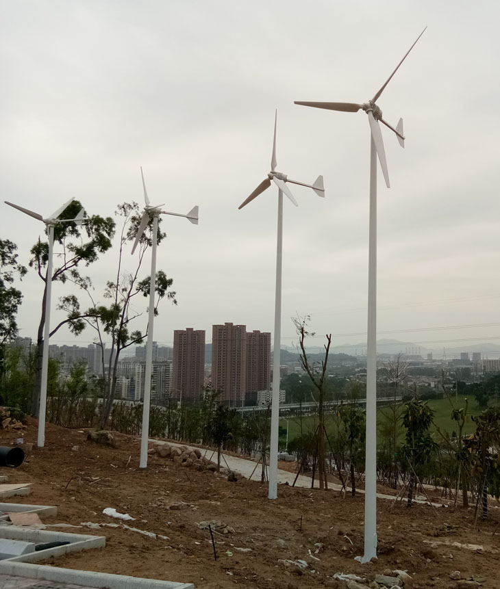 5fd85cc72e071.jpg 03.jpg