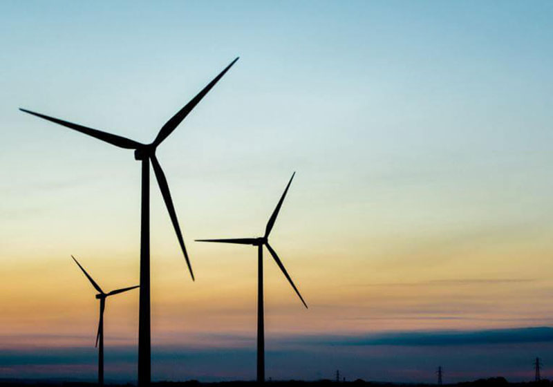 5fe2db59a8c67.jpg 01.jpg