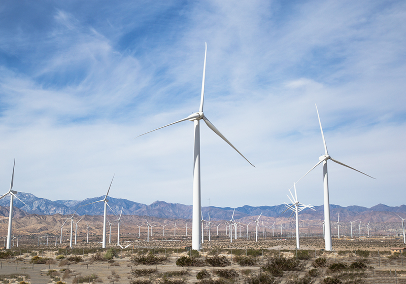 6006464888588.jpg 01.jpg